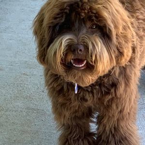 Meet your Posher, Lori